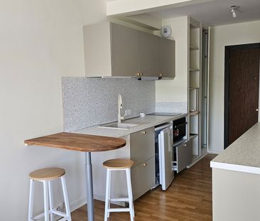 Location Appartement 1 pièce 26m² FONTAINEBLEAU 77300 - Photo 2