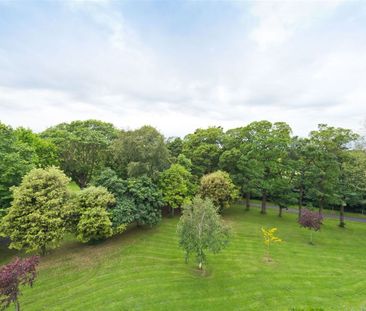 The Pines, Herbert Park Lane, Dublin 4, Dublin - Photo 5