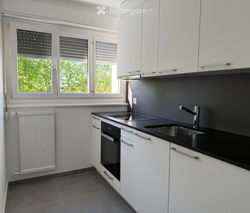 2.5 Zimmer, 55 m² - Photo 1