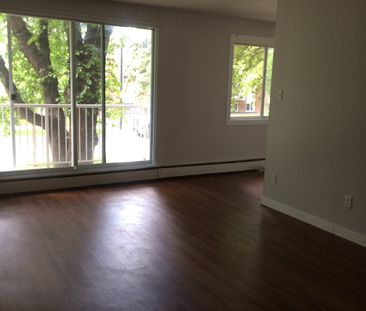 Darren Manor - Photo 3