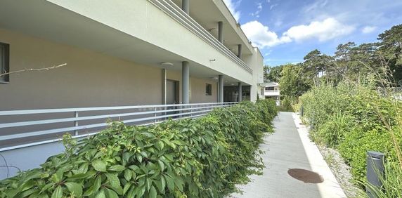 mit Grünblick: westseitige Loggia/Balkon, Garage möglich - befristet - Photo 2