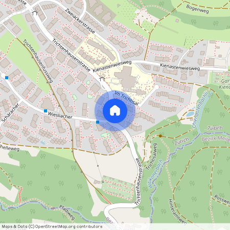 Trichtenhausenstrasse 129, 8053 Zürich