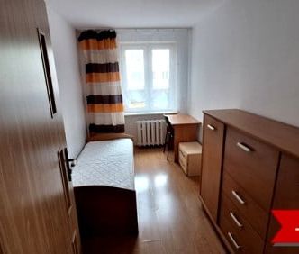 Pokój, ul. Zana - Photo 6