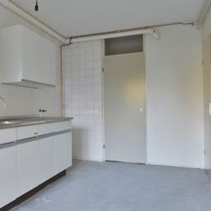 Theresiastraat 0ong, 2593 AN Den Haag, Nederland - Photo 3