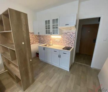 Pronájem 1+kk po kompletní rekonstrukci, Studénka - Photo 5