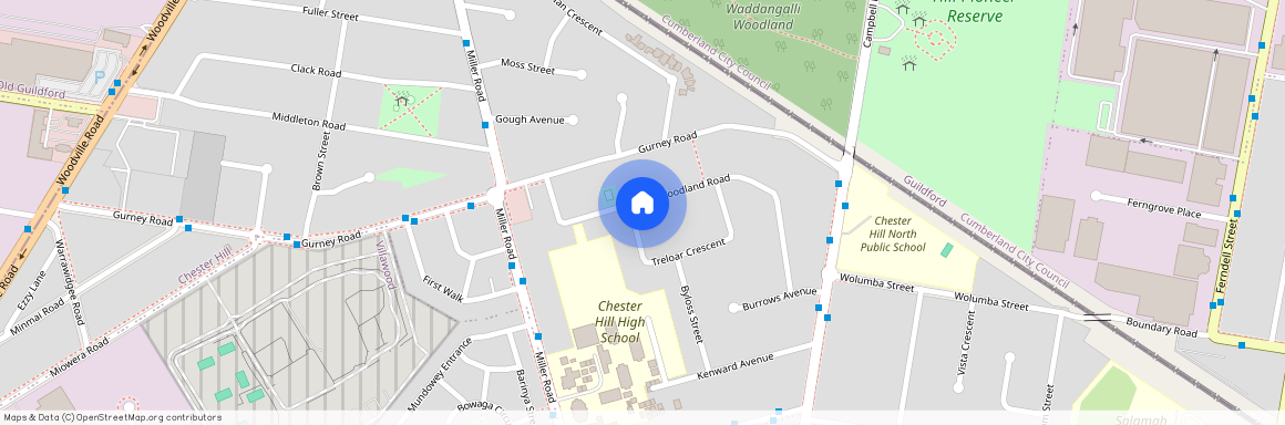 28 Woodland Road, NSW 2162, Chester Hill