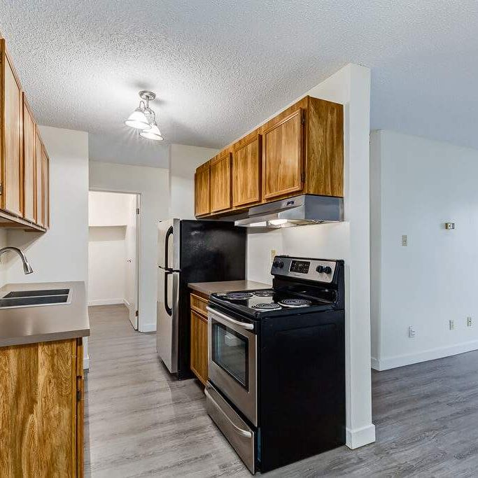 Renovated Suite - 3 Bedroom - Photo 1