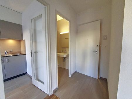 Joli appartement de 1 pièce au rez, 33m2 - Photo 3