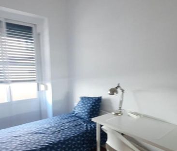 Lisbon - Rooms in Apartment - Photo 1
