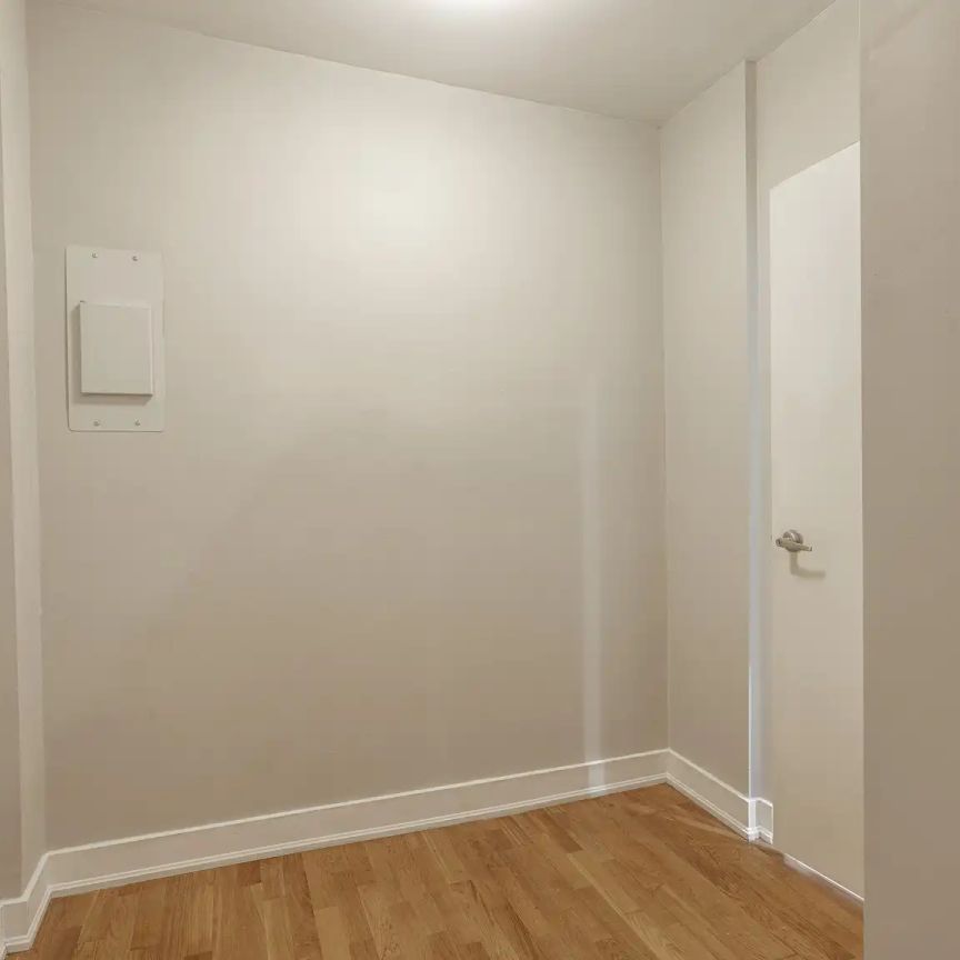 54 - 56 Maitland Street — Studio - unit 104 - Photo 1