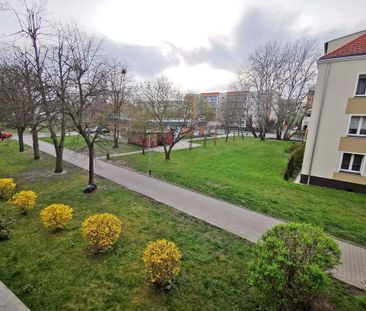 mieszkanie na wynajem Szczecin Pomorzany - Photo 3