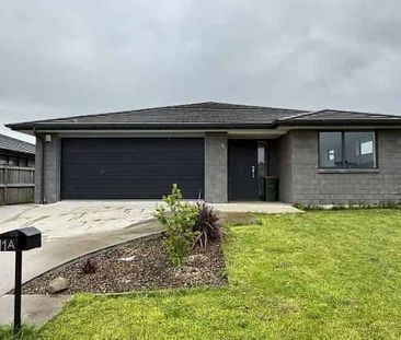 Spacious 4-Bedroom house for Rent in Tuakau - Photo 4