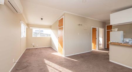 Sunny Renovated 2 Bedroom Unit - Available in December - Photo 2