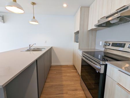 5250 Boul. Henri Bourassa O. Montréal (Saint-Laurent), QC H4R - Photo 4