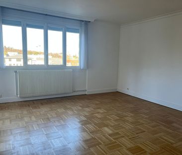 Location appartement 2 pièces, 61.80m², Joinville-le-Pont - Photo 3