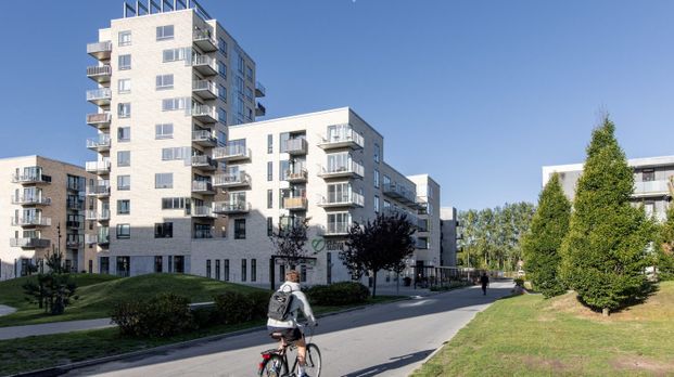 1 værelses – Munkebjergvænget 66, 3. lejl. 2 – Odense M - Photo 1