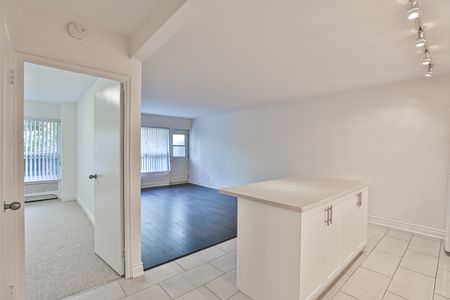 1 Bedroom Open Concept - Photo 4