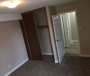 Small Pet Friendly Well Maintained 2 Bedroom Suite - Photo 4