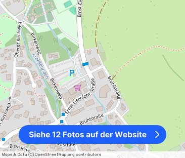 Frei zum 1.11.2025: Große Wohnung in herrschaftlicher Villa (OG), z... - Foto 1