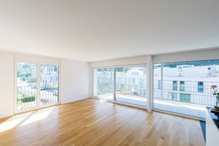 Wunderschöne 4.5 ZWG am grünen Stadtrand - Photo 4