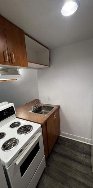 GHETTO MCGILL- STUDIO RENOVÉ & MEUBLÉ- EMPLACEMENT EXCEPTIONNEL - Photo 1