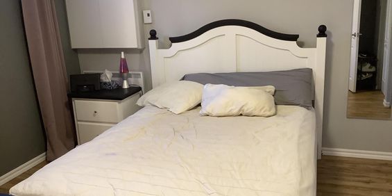 Sous-sol Avec Chambre Et Sdb Privée - Photo 3