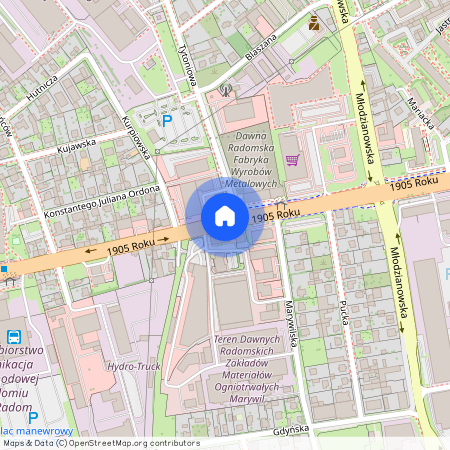 Borki, 1905 Roku, Radom