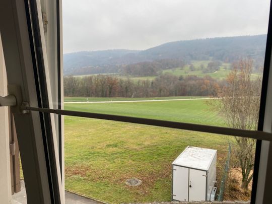 4-room apartment with views of the horse farm and nature - Photo 1