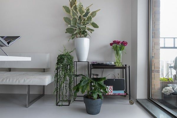Te huur: Appartement Andreasplein in Amsterdam - foto 1