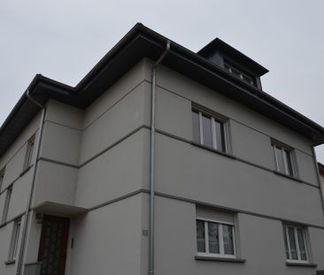 Location Appartement 3 pièces 98m² ALTKIRCH 68130 - Photo 6