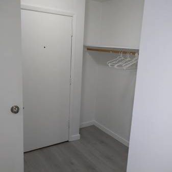 1 Bedroom Apartment - Photo 4