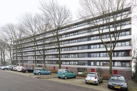 Hijmans van den Berghlaan 3571 Utrecht - Foto 2