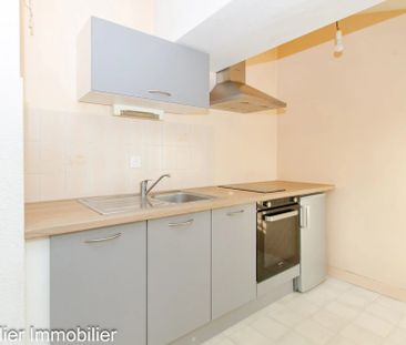 Location Appartement 1 pièce 23m² ST MARCELLIN 38160 - Photo 2