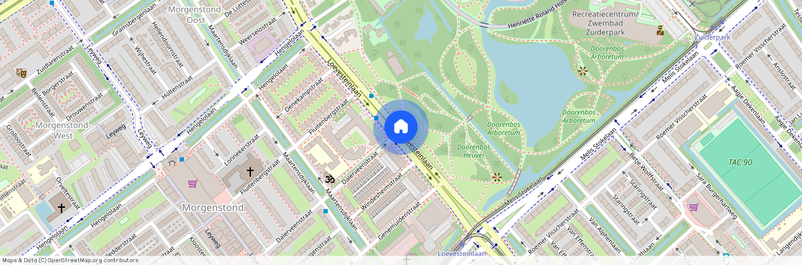 Morgenstond-Oost, 2533 AM, Loevesteinlaan, Den Haag