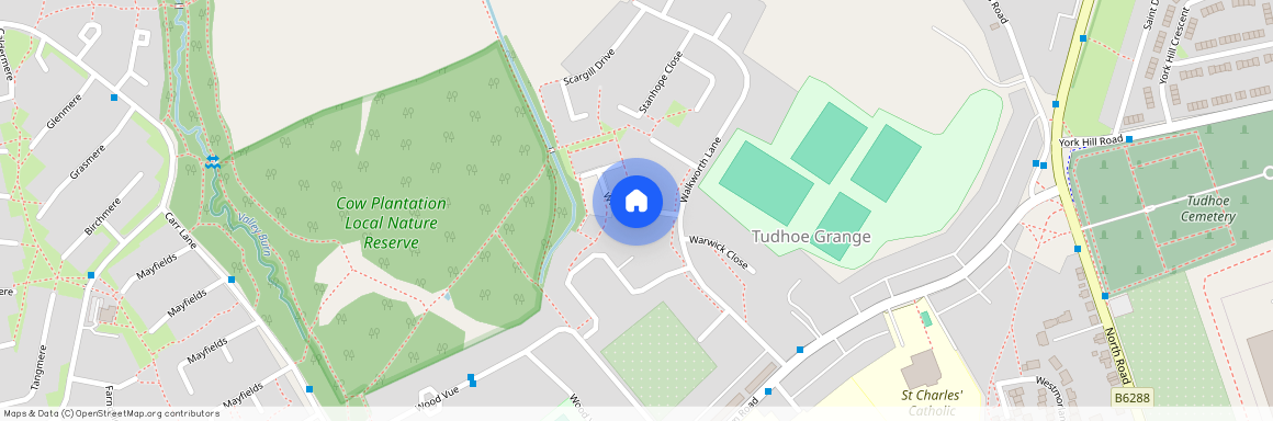 Witton Drive, Spennymoor, County Durham