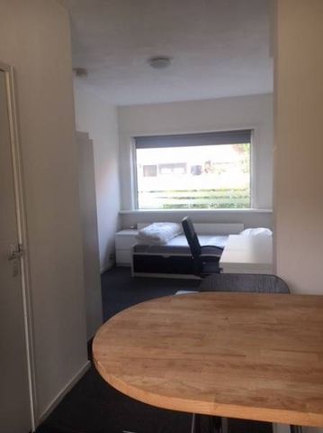 Te huur: Kamer Wilgenroosstraat in Eindhoven - Foto 4