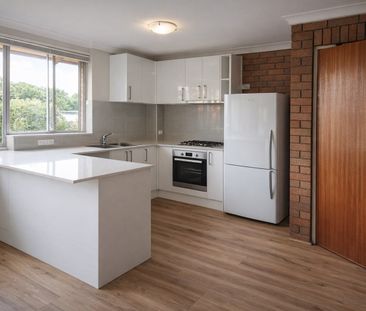 6/24 Thallon Street, Sherwood QLD 4075 - House For Rent | Domain - Photo 4