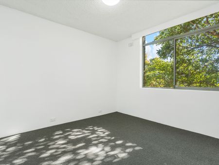 44/167 Willoughby Road, Naremburn NSW 2065 - Apartment For Rent | Domain - Photo 2