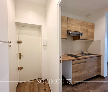 Location Appartement 1 pièce 24m² THORIGNY SUR MARNE 77400 - Photo 3