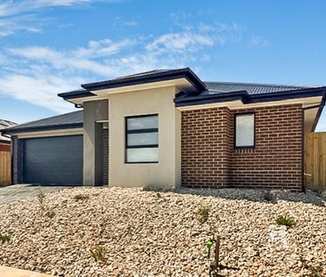 BRAND NEW - LOW MAINTENANCE - Photo 1