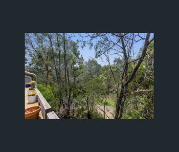 Huge and quiet amongst the trees! - Photo 1