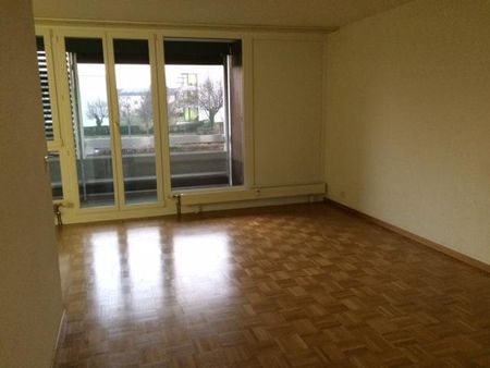 3.5 Zimmer, 69 m², EG - Foto 3
