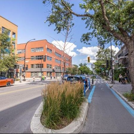 2 1/2 - Montréal (Le Plateau Mont-Royal) - 1 635 $/mois - Photo 3