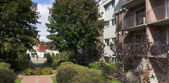 4 1/2 Vanier -ascenseur- proche des commodités- 1er décembre - Photo 2