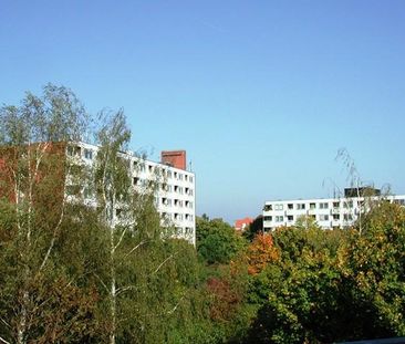 Mühlenweg 112, 24116 Kiel OT Schreventeich - Photo 3