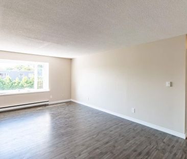 Lewis Court Apartments - ALL INCLUSIVE - Photo 6