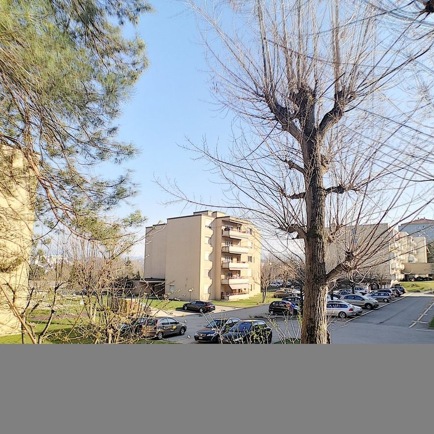 Appartement spacieux de 5.5 pièces à Fribourg ! - Photo 2