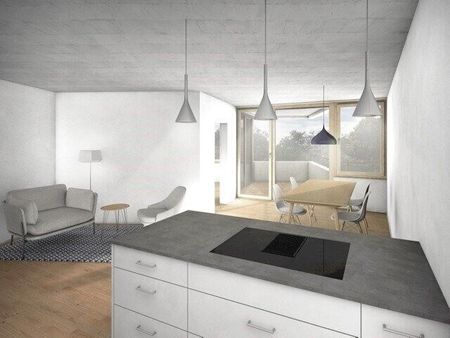 Modern apartment in the green Muttenz - Photo 3