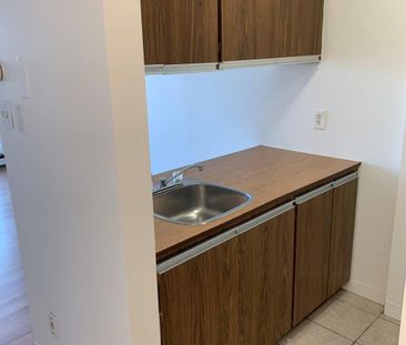 1 CH - 1 SDB - Montréal - $1,245 /mo - Photo 1