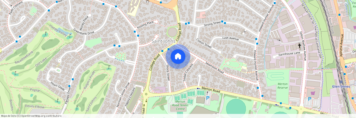 9 Swainston Road, Saint Johns, Auckland City